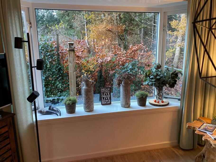 Op Boszicht Genieten Van De Rust & Natuur Putten Exteriör bild