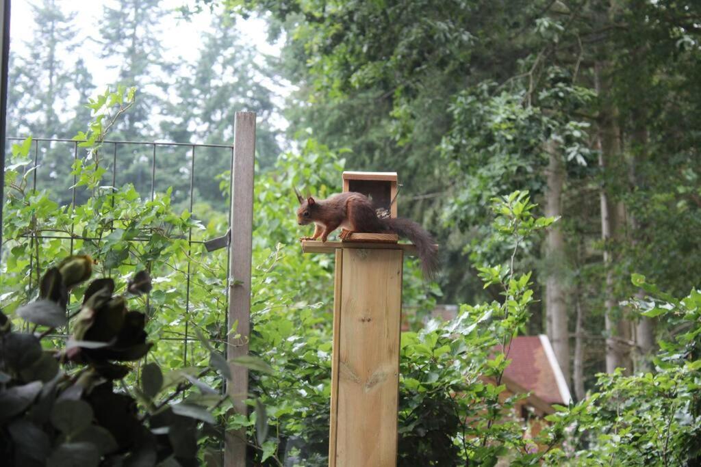 Op Boszicht Genieten Van De Rust & Natuur Putten Exteriör bild