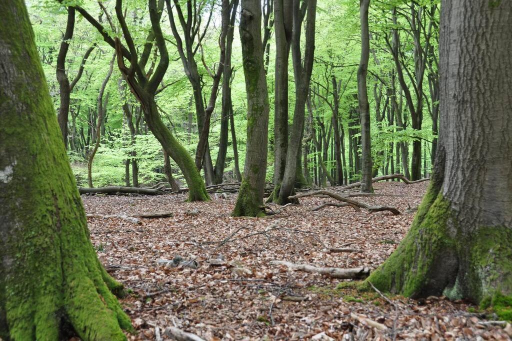 Op Boszicht Genieten Van De Rust & Natuur Putten Exteriör bild
